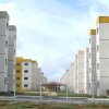 Obra Entregue Flores